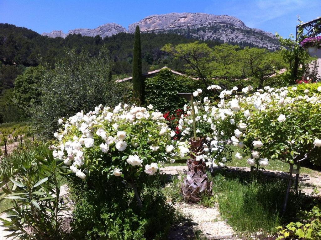 Le Grand Jardin Acomodação com café da manhã Lafare Exterior foto