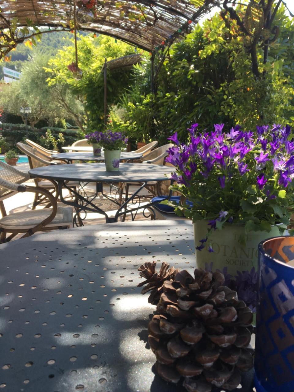 Le Grand Jardin Acomodação com café da manhã Lafare Exterior foto